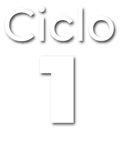 Ciclo 1
