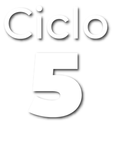 Proyecto de Ciclo